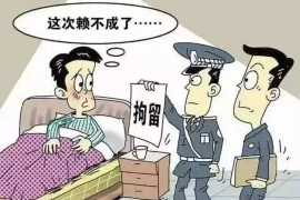 余江债务清欠服务